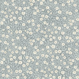 York Poppy Trail Light Blue Floral Wallpaper
