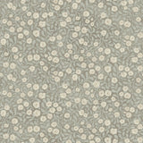 York Poppy Trail Aqua Floral Wallpaper