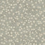 York Poppy Trail Aqua Floral Wallpaper
