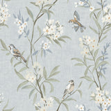 York Tea Olive Light Blue Finch Frolic Wallpaper