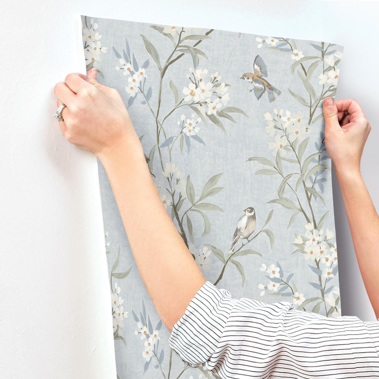 York Tea Olive Light Blue Finch Frolic Wallpaper