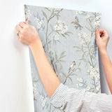 York Tea Olive Light Blue Finch Frolic Wallpaper