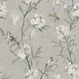 York Tea Olive Gray Finch Frolic Wallpaper