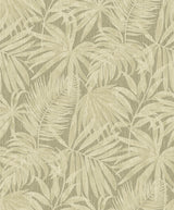 York Sonny Green Fronds Wallpaper