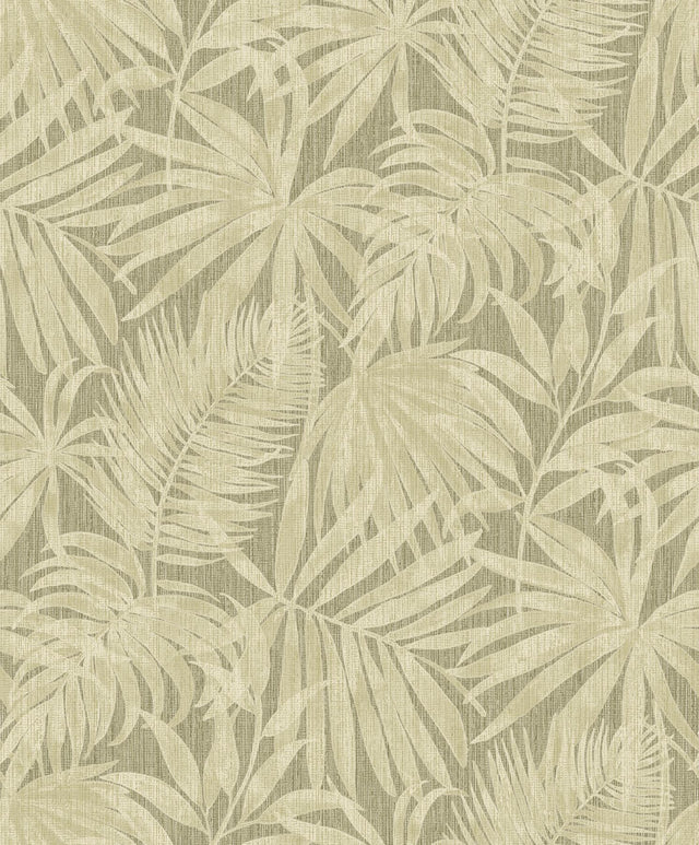 York Sonny Green Fronds Wallpaper