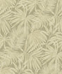 York Sonny Green Fronds Wallpaper