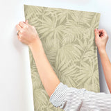 York Sonny Green Fronds Wallpaper