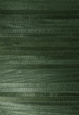 York Michiko Green Grasscloth Wallpaper