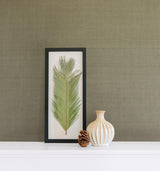 York Mirei Light Green Grasscloth Wallpaper