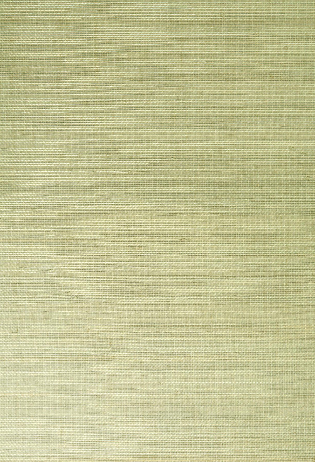 York Narumi Light Green Grasscloth Wallpaper
