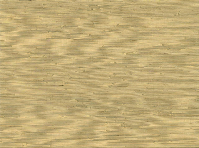 York Shan Light Green Grasscloth Wallpaper