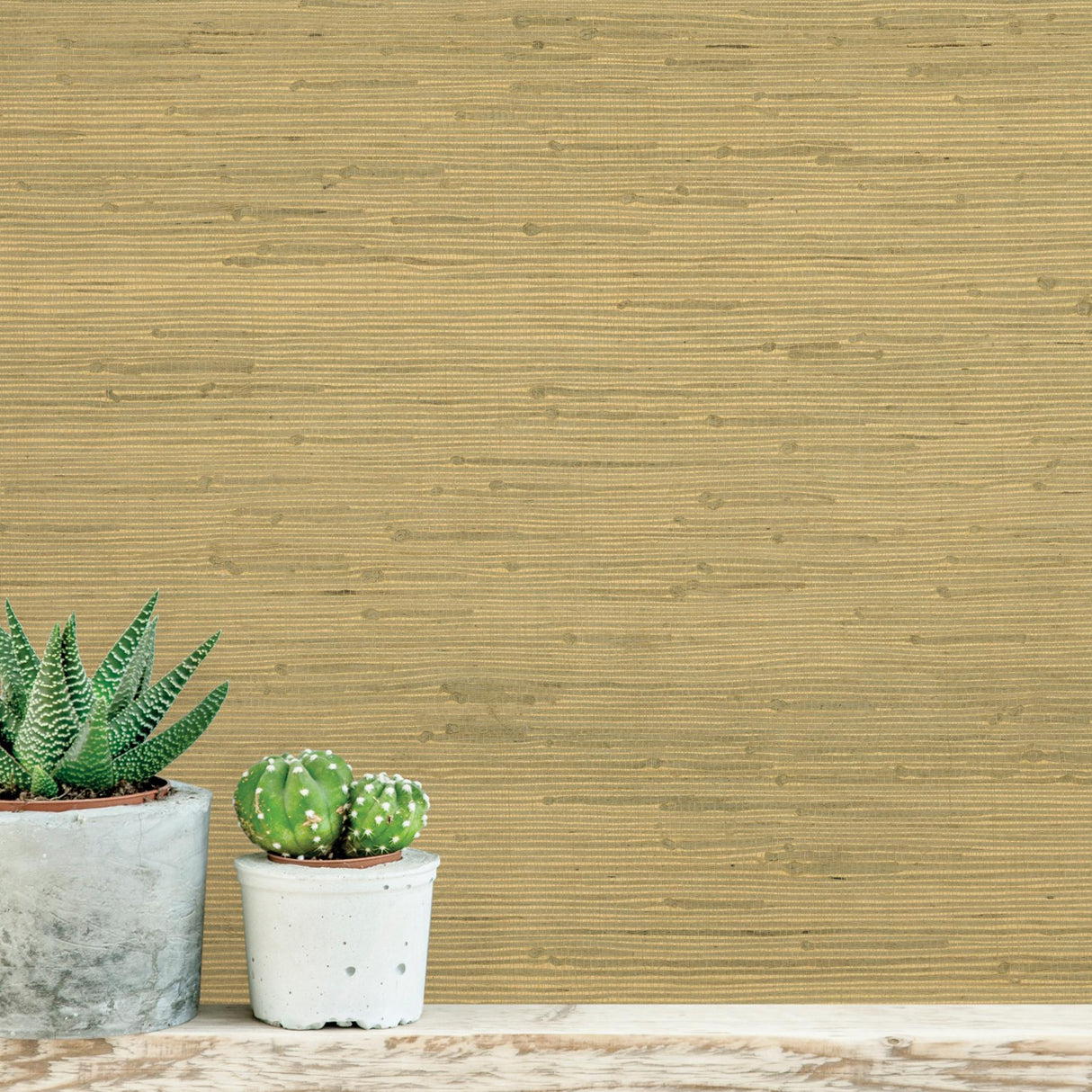 York Shan Light Green Grasscloth Wallpaper