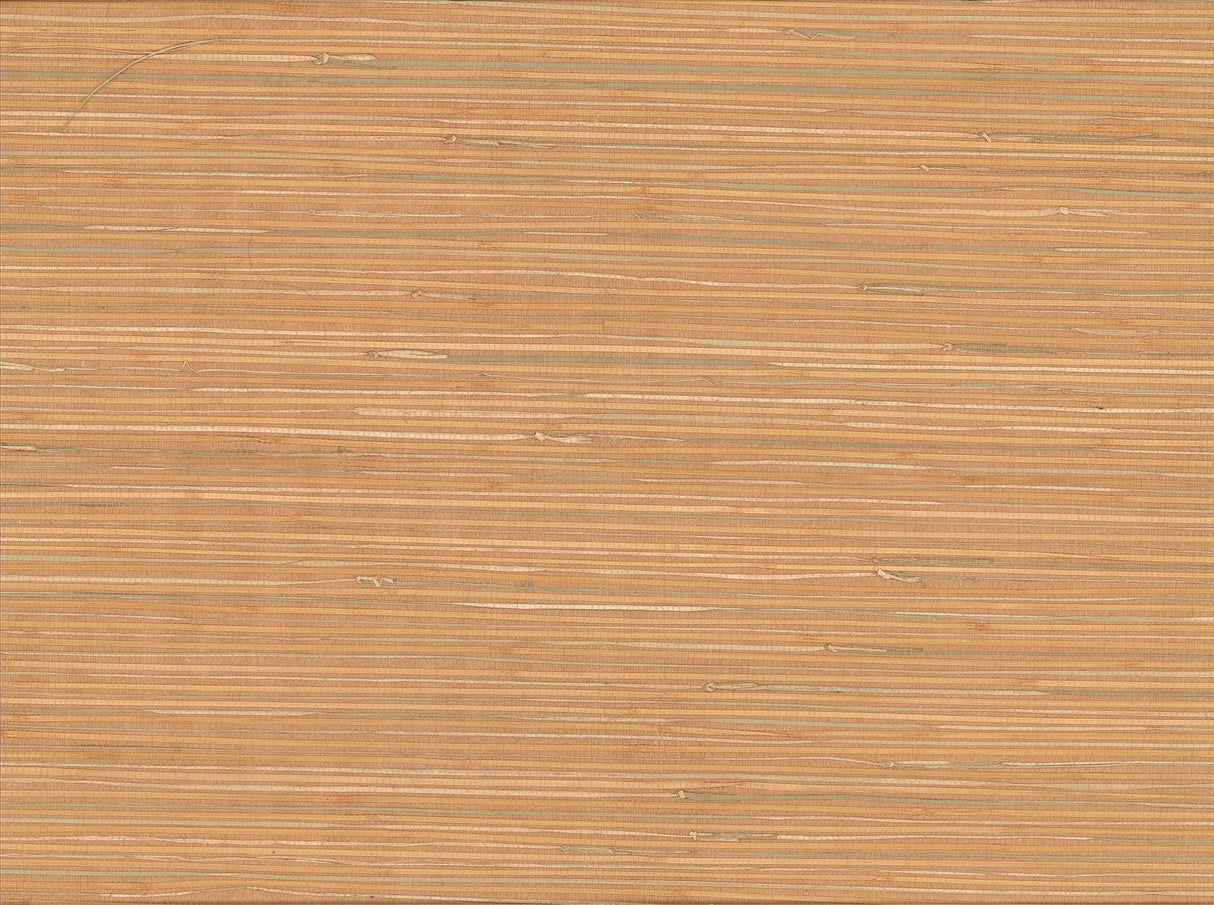 York Li Na Light Brown Grasscloth Wallpaper