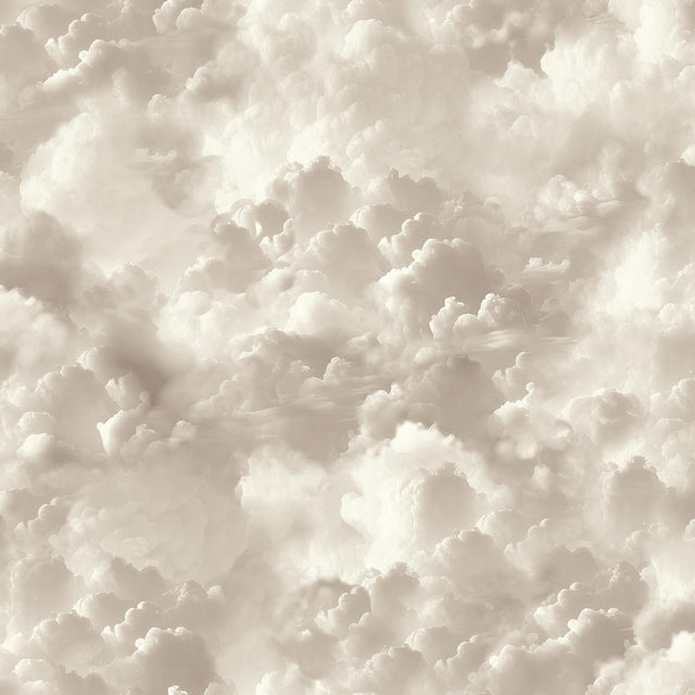 York Merryweather Neutral Cloudy Skies Wallpaper