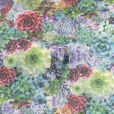 York Rhea Multicolor Succulents Wallpaper