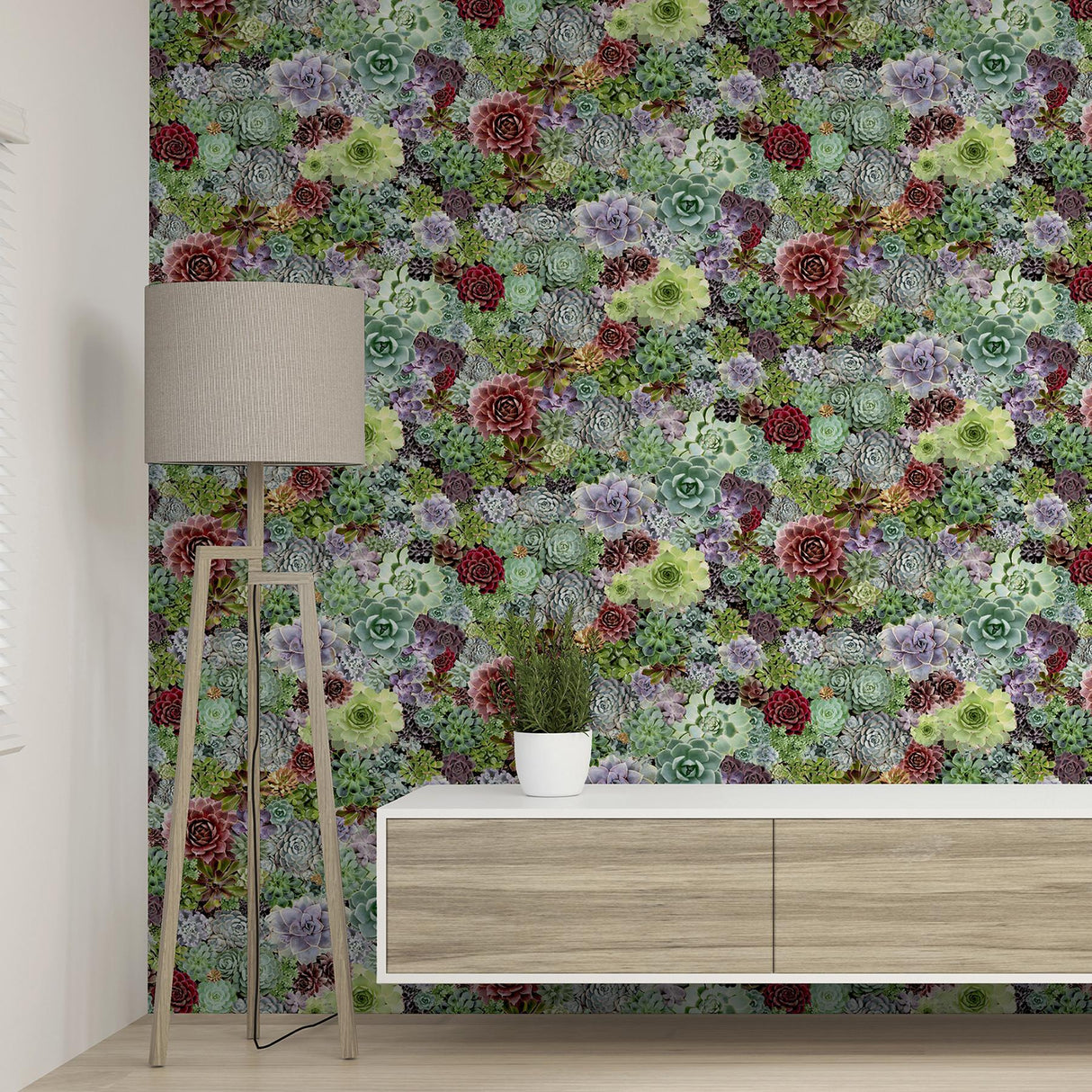 York Rhea Multicolor Succulents Wallpaper
