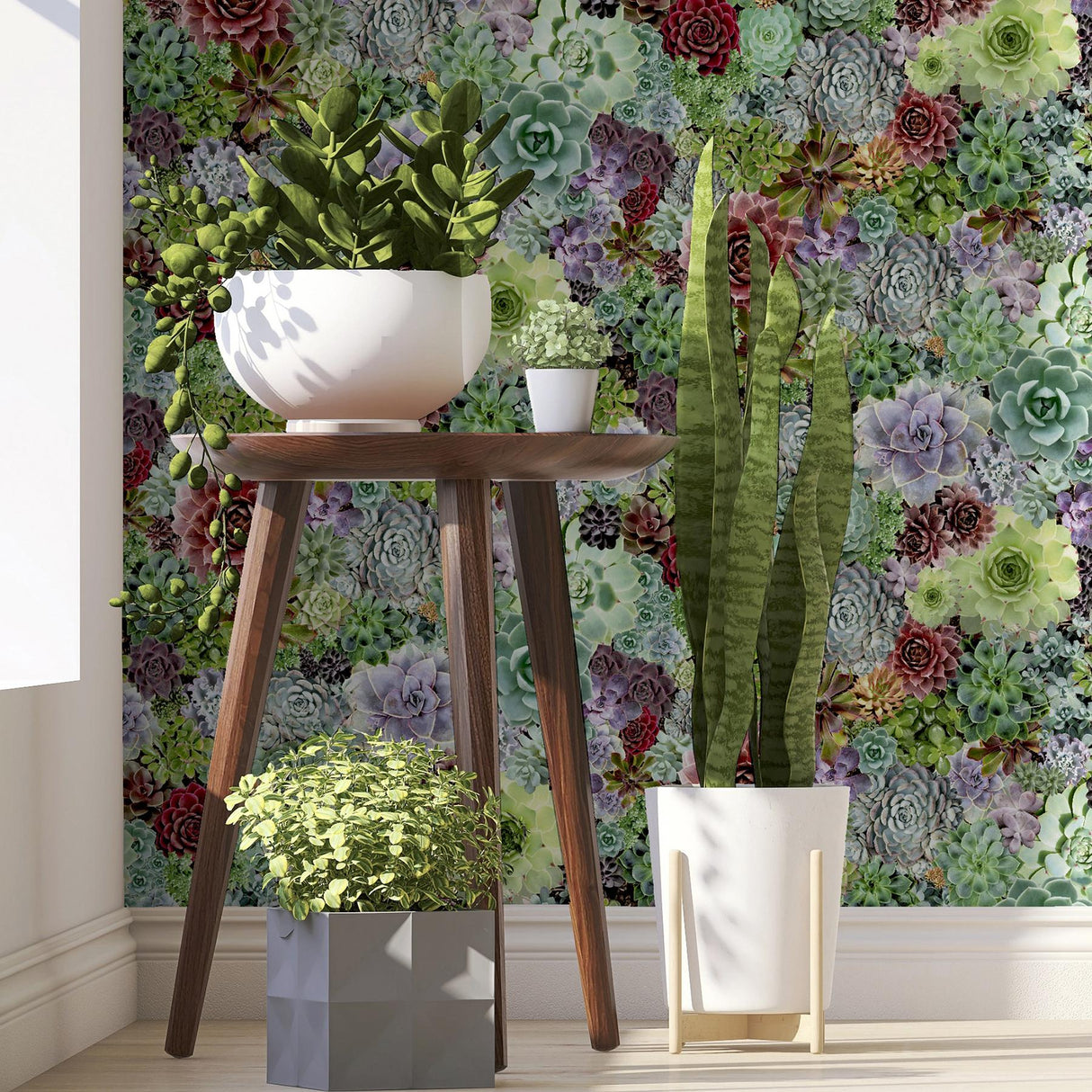 York Rhea Multicolor Succulents Wallpaper