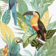 York Trudie Multicolor Toucan Macaw Wallpaper