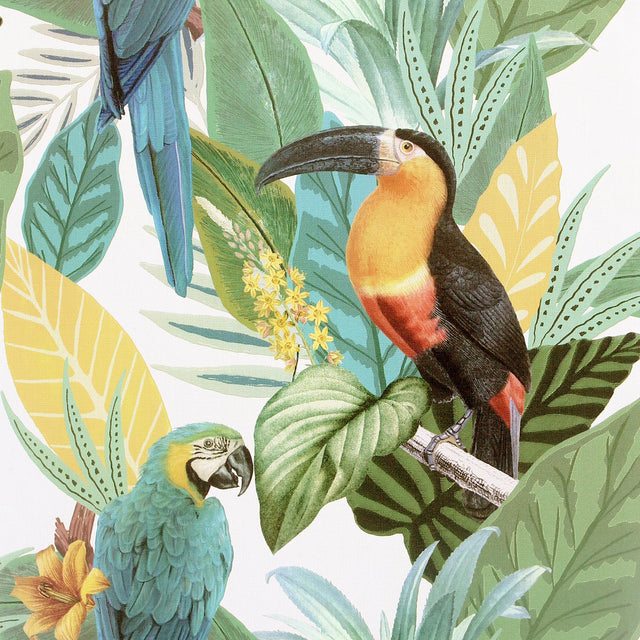York Trudie Multicolor Toucan Macaw Wallpaper