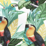 York Trudie Multicolor Toucan Macaw Wallpaper