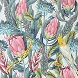 York Celia Multicolor Tropical Birds Wallpaper