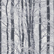 York Frosted Silver Winter Grove Wallpaper