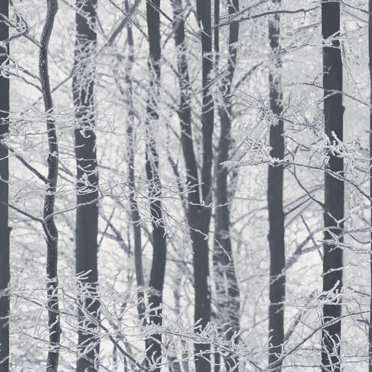 York Frosted Silver Winter Grove Wallpaper