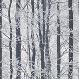 York Frosted Silver Winter Grove Wallpaper