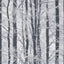 York Frosted Silver Winter Grove Wallpaper
