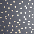 York Priscella Charcoal Polka Dot Wallpaper