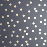 York Priscella Charcoal Polka Dot Wallpaper