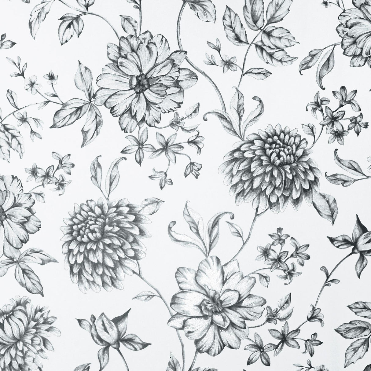 York Della Black Floral Trail Wallpaper