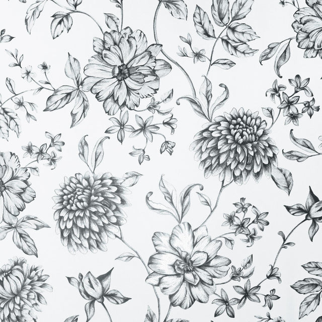 York Della Black Floral Trail Wallpaper