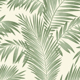 York Cecil Green Tropical Wallpaper