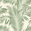 York Cecil Green Tropical Wallpaper