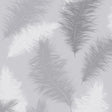 York Sussurro Grey Feathers Wallpaper