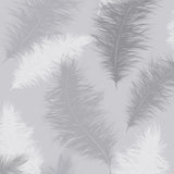 York Sussurro Grey Feathers Wallpaper