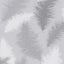 York Sussurro Grey Feathers Wallpaper