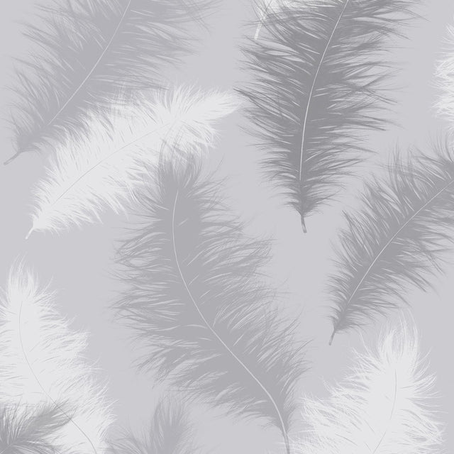 York Sussurro Grey Feathers Wallpaper