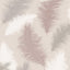 York Sussurro Pink Feathers Wallpaper