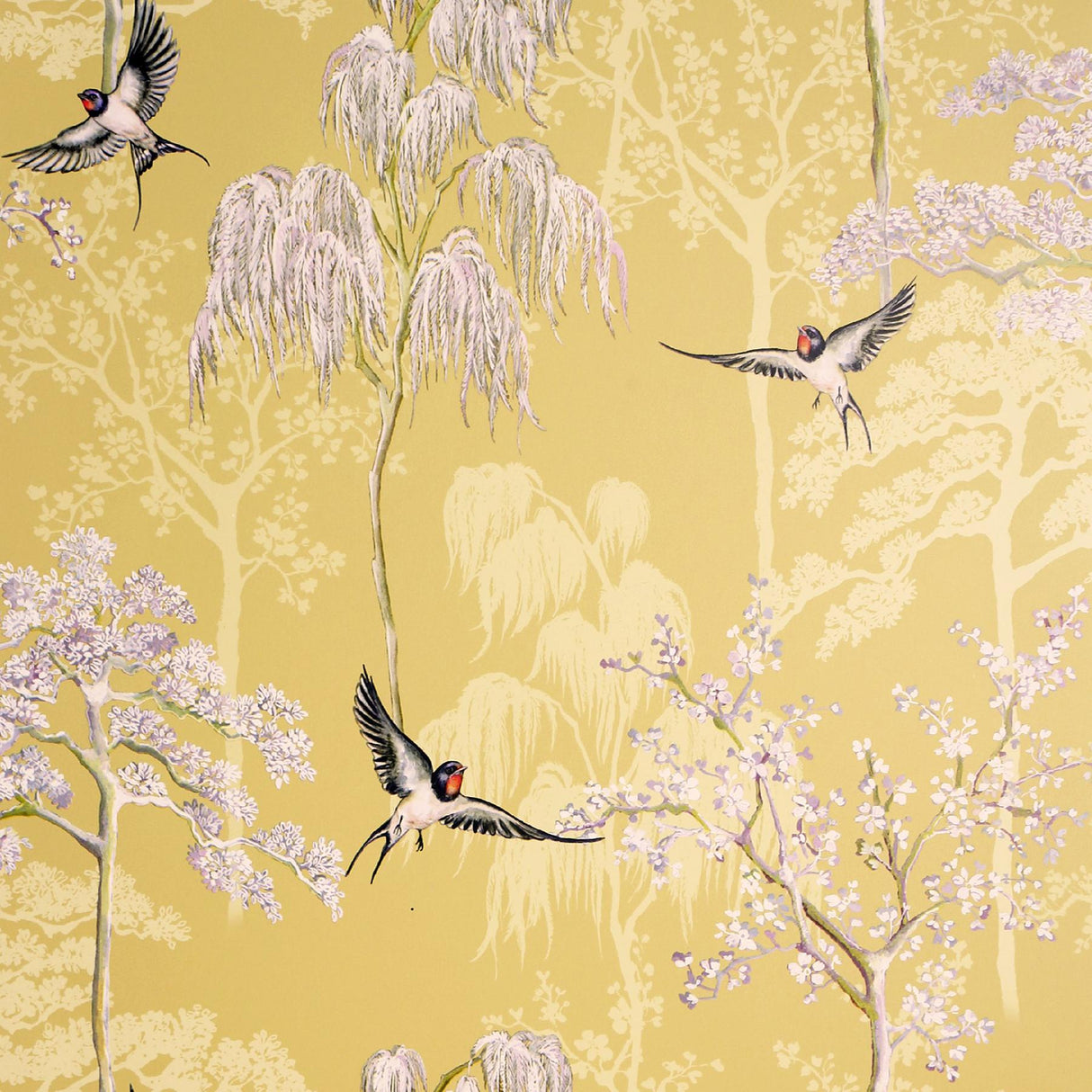 York Asuka Yellow Sparrow Forest Wallpaper
