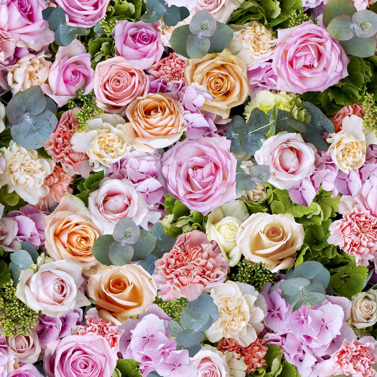 York Deirdre Pink Floral Wallpaper