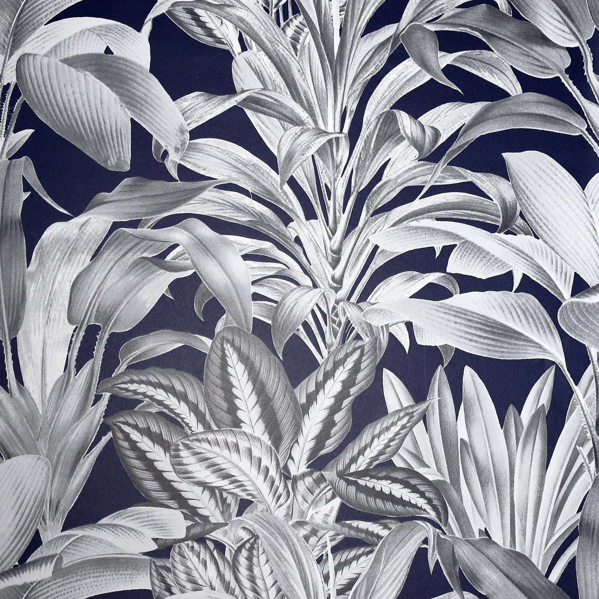 York Alice Navy Greenhouse Wallpaper
