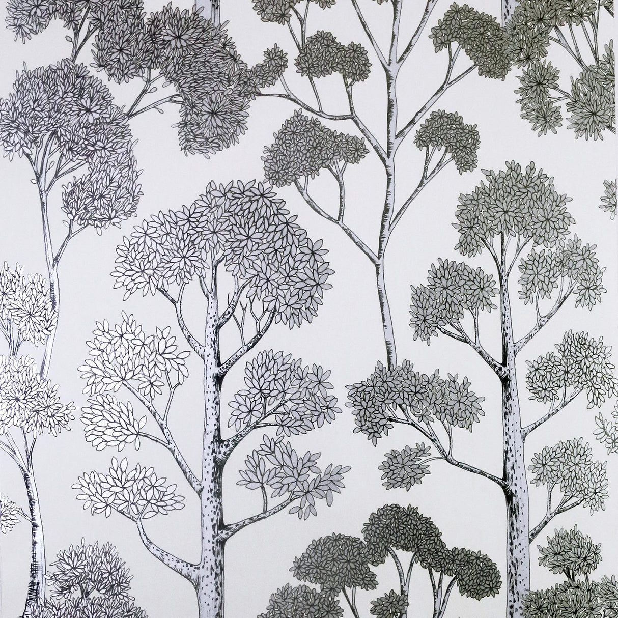York Blanche Silver Trees Wallpaper