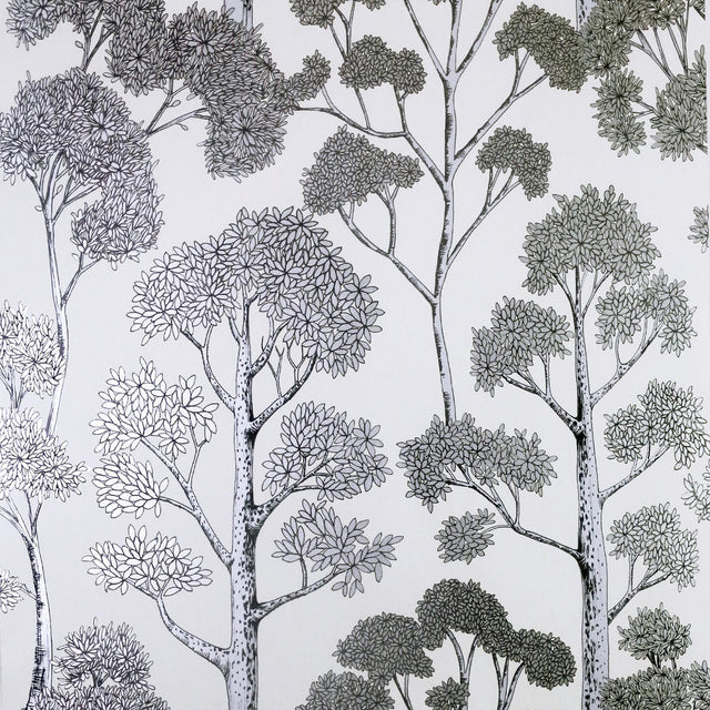 York Blanche Silver Trees Wallpaper