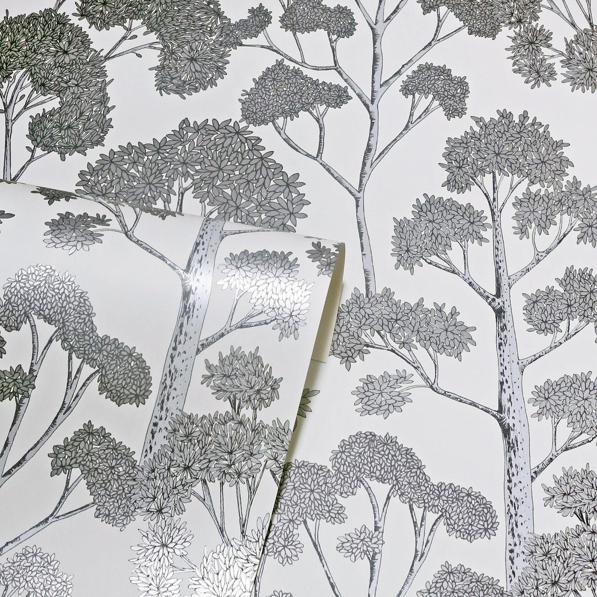 York Blanche Silver Trees Wallpaper