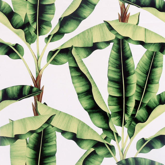 York Musa Green Palm Tree Wallpaper