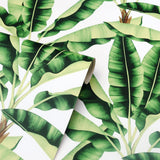 York Musa Green Palm Tree Wallpaper
