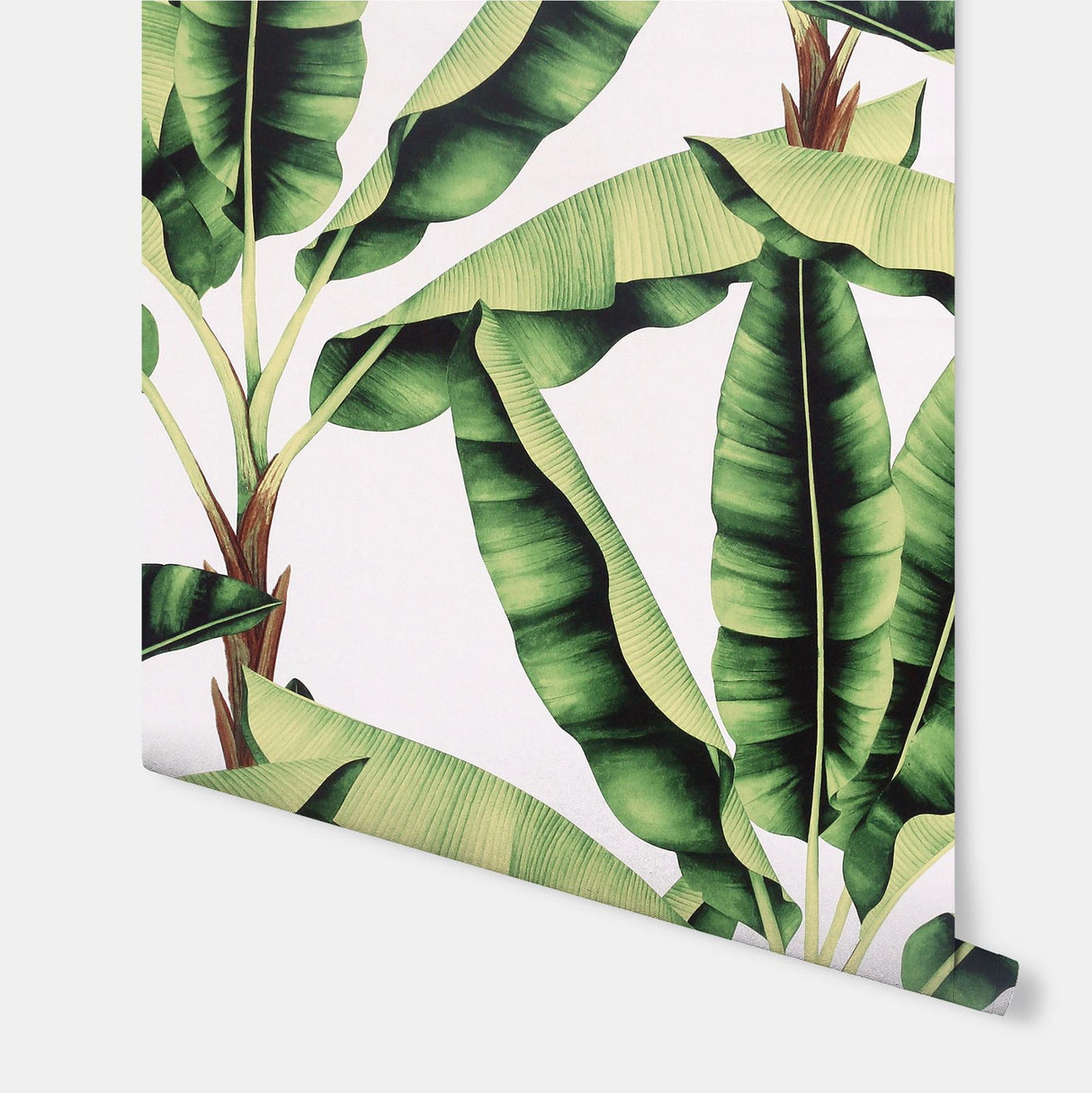 York Musa Green Palm Tree Wallpaper