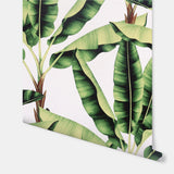 York Musa Green Palm Tree Wallpaper